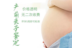 眉山怀孕了怎么做亲子鉴定，眉山孕期亲子鉴定需要提供什么